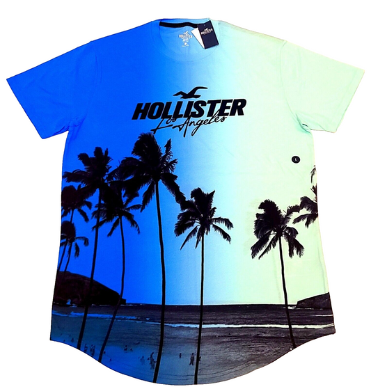 Hollister Men's T-shir COLOR BLUE AND LIGHT GREEN SIZE L (NEW ORIGINAL WITH TAG)