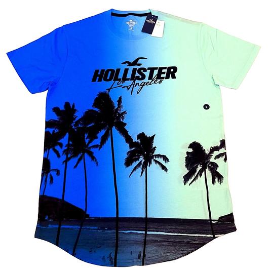 Hollister Men's T-shir COLOR BLUE AND LIGHT GREEN SIZE M (NEW ORIGINAL WITH TAG)