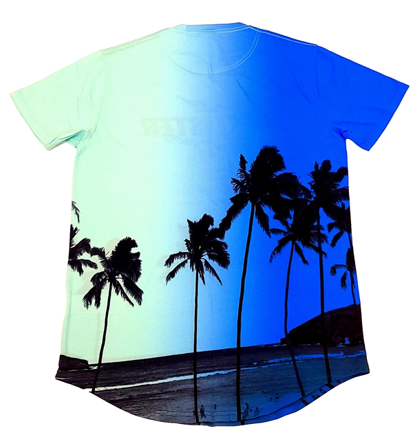 HOLLISTERHDBLUEGREENM1