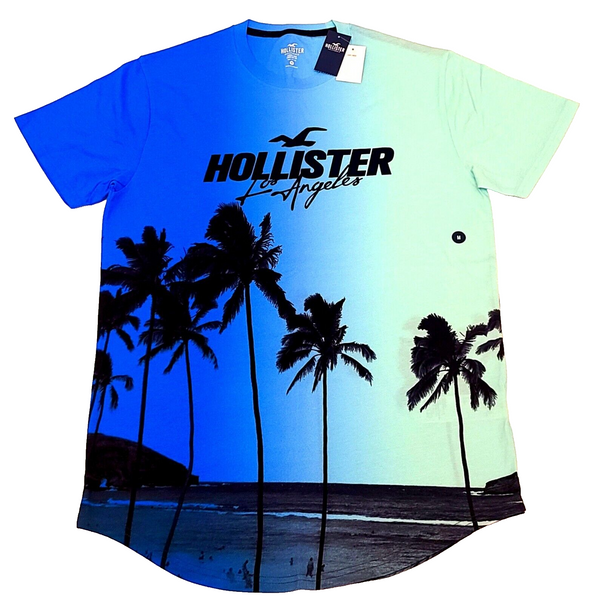 HOLLISTERHDBLUEGREENM